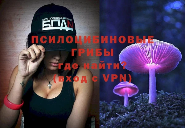 PSILOCYBIN Абинск