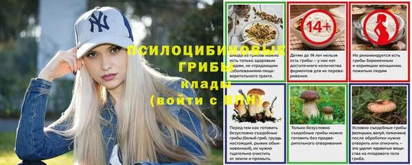 PSILOCYBIN Абинск