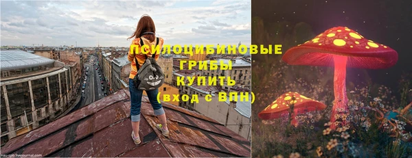 стаф Абаза