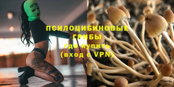 стаф Абаза