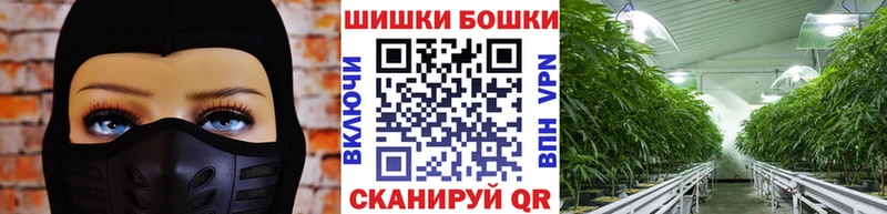 Конопля OG Kush Саратов